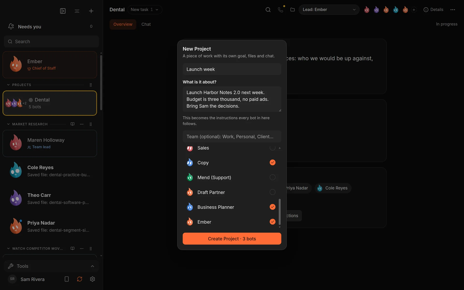 Creating a new project with a goal and bots